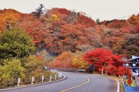 日塩もみじライン