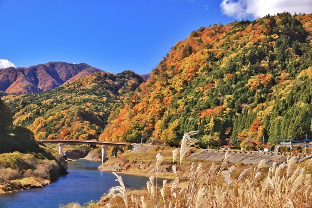 まさまさ　さまさんが投稿した日塩もみじラインに関する口コミの画像