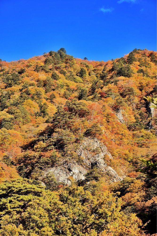 まさまさ　さまさんが投稿した日塩もみじラインに関する口コミの画像