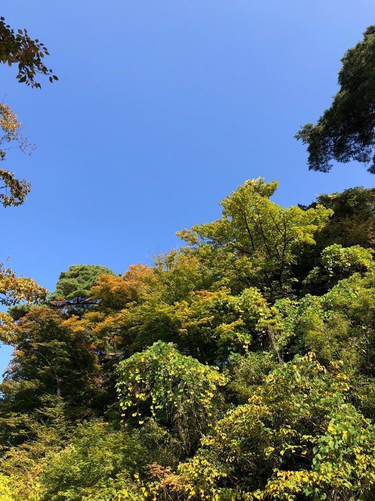 からっ風②さんが投稿した唐沢山レストハウスに関する口コミの画像