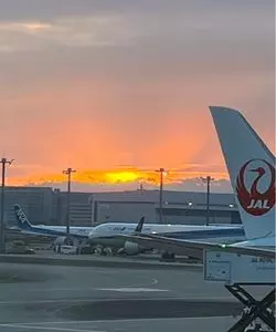 LAWSON 羽田空港第一ターミナルノース（ローソン）