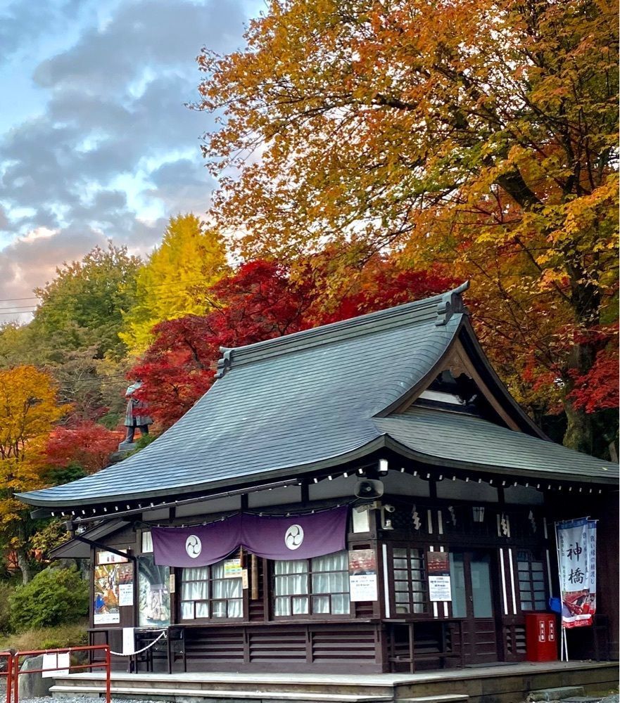calm_gift_1030さんが投稿した日光山に関する口コミの画像