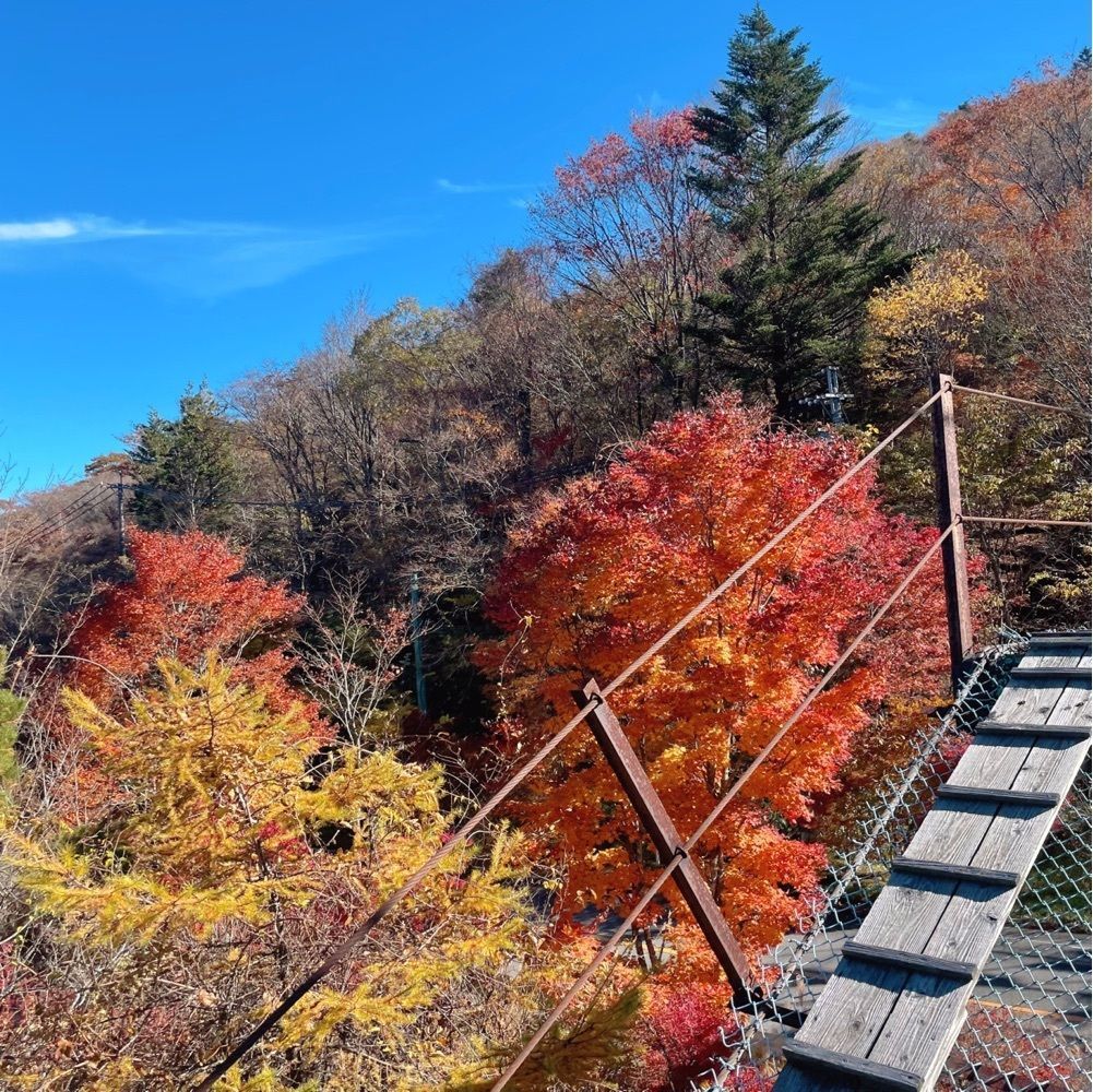 Mr. イリジウム シルバーさんが投稿した茶臼山に関する口コミの画像
