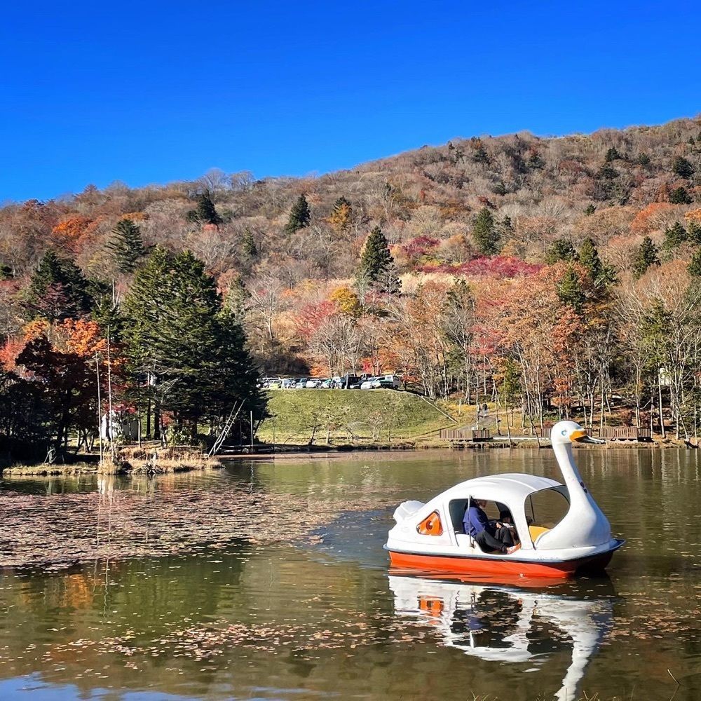 Mr. イリジウム シルバーさんが投稿した茶臼山に関する口コミの画像