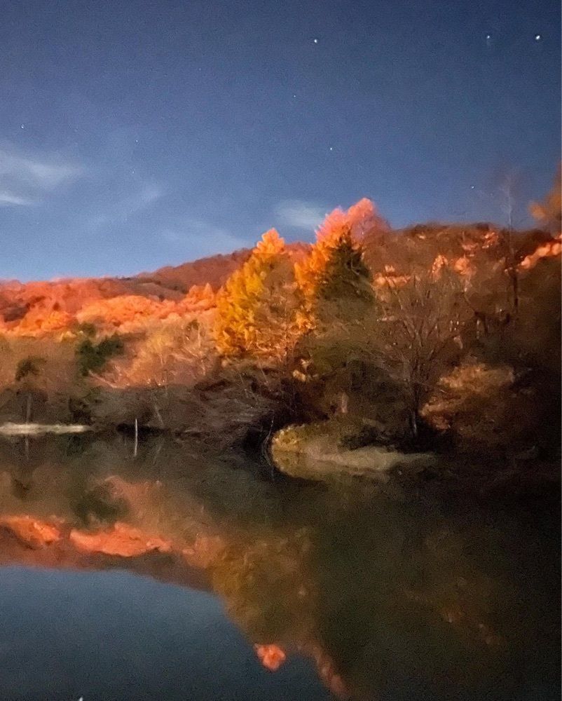 Mr. イリジウム シルバーさんが投稿した茶臼山に関する口コミの画像