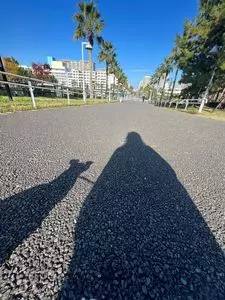 浦安市総合公園