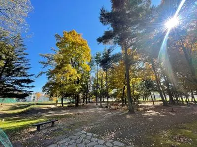 駒場公園（長野県佐久市）