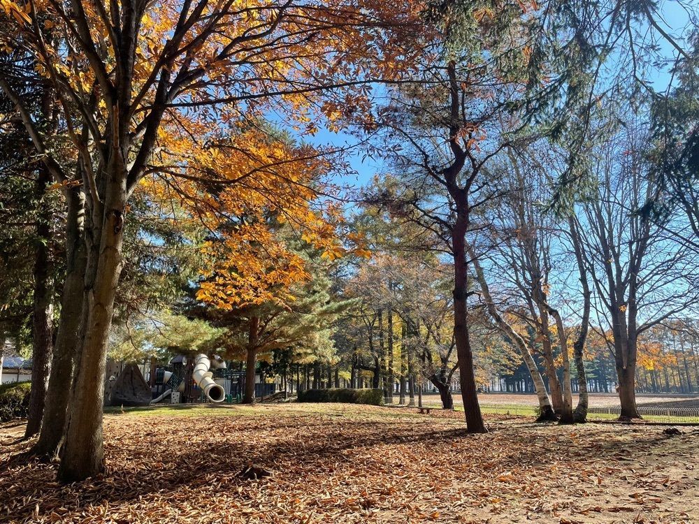 nostalgic_hiking_bca8さんが投稿した駒場公園（長野県佐久市）に関する口コミの画像