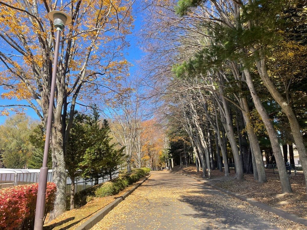 nostalgic_hiking_bca8さんが投稿した駒場公園（長野県佐久市）に関する口コミの画像