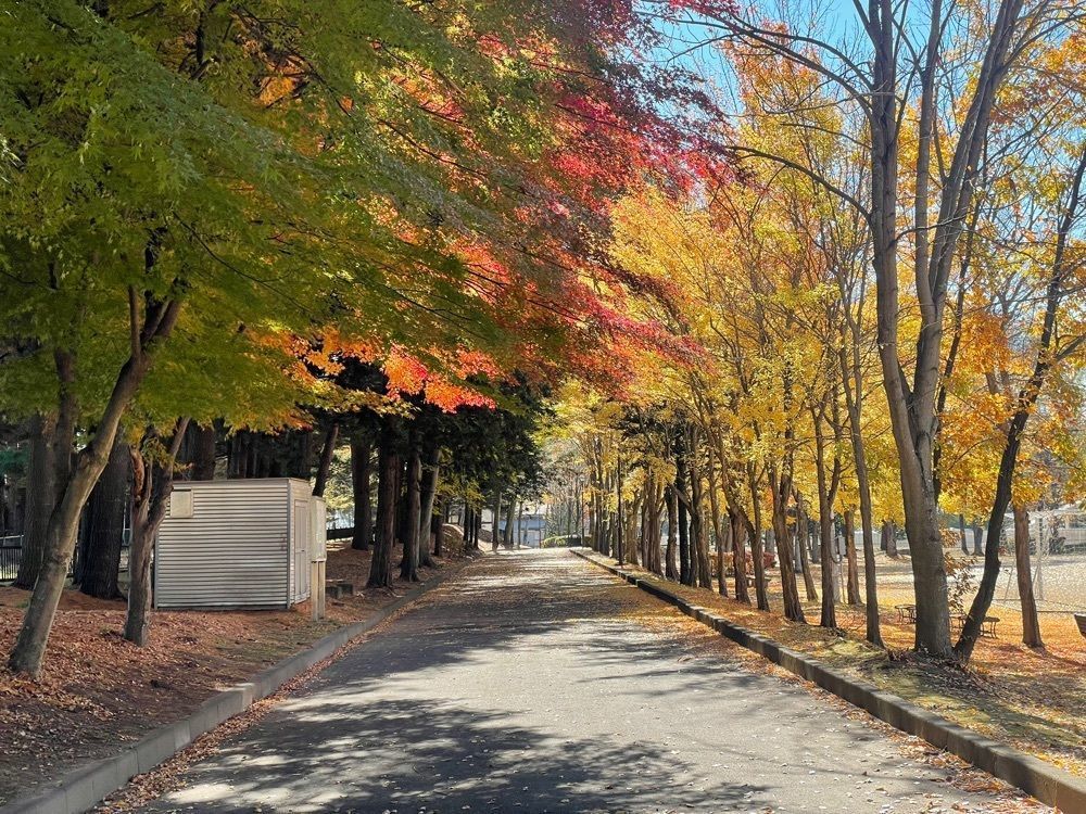 nostalgic_hiking_bca8さんが投稿した駒場公園（長野県佐久市）に関する口コミの画像