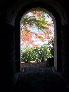 龍洞院