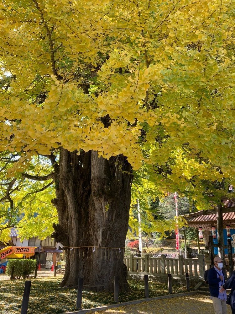 SAX野郎（ジジイ）さんが投稿したいこいの村ひろしまに関する口コミの画像