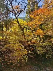 梅田ふるさとセンター