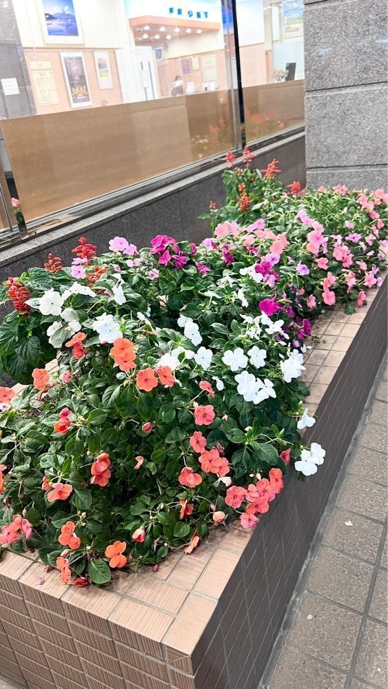 miiさんが投稿したライフイン 土浦駅東に関する口コミの画像
