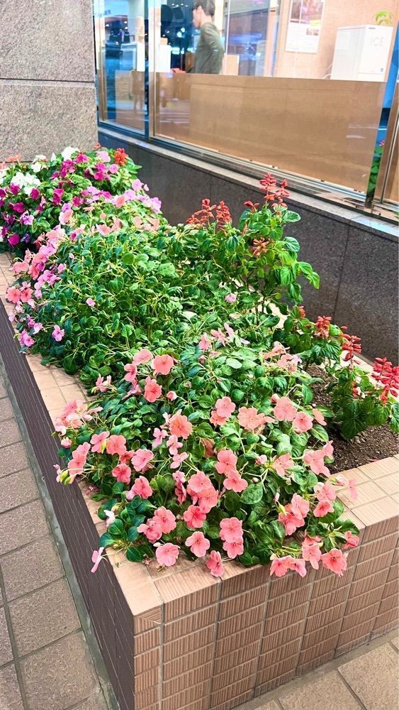 miiさんが投稿したライフイン 土浦駅東に関する口コミの画像