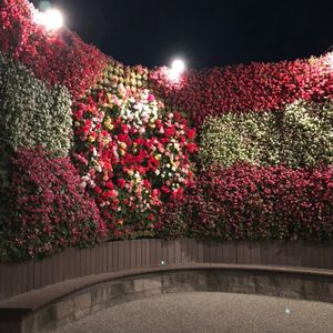ラグナシア