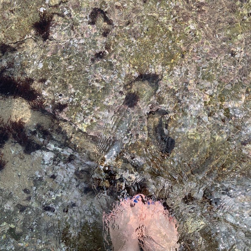 かよさんが投稿した磯原海岸に関する口コミの画像