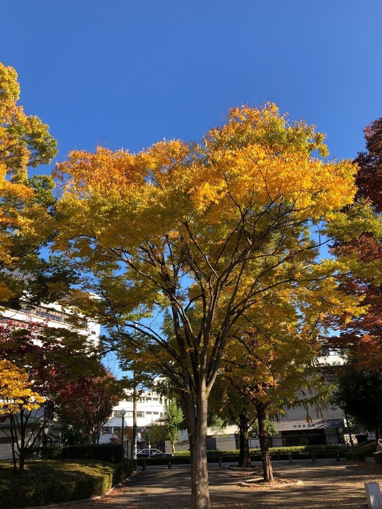 からっ風②さんが投稿したフラガ★デリカ 桐生巴町店に関する口コミの画像