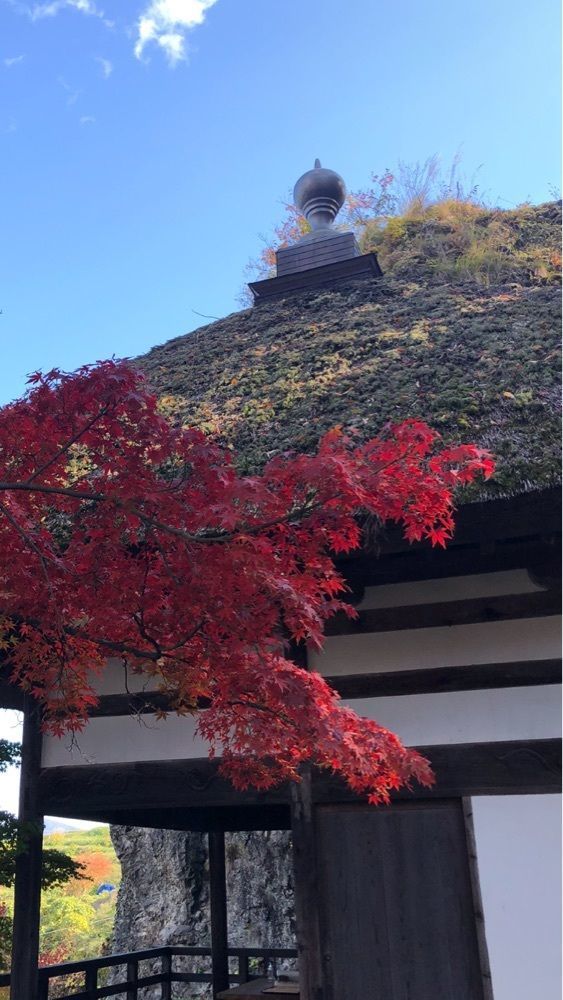 take.aさんが投稿した長楽寺に関する口コミの画像