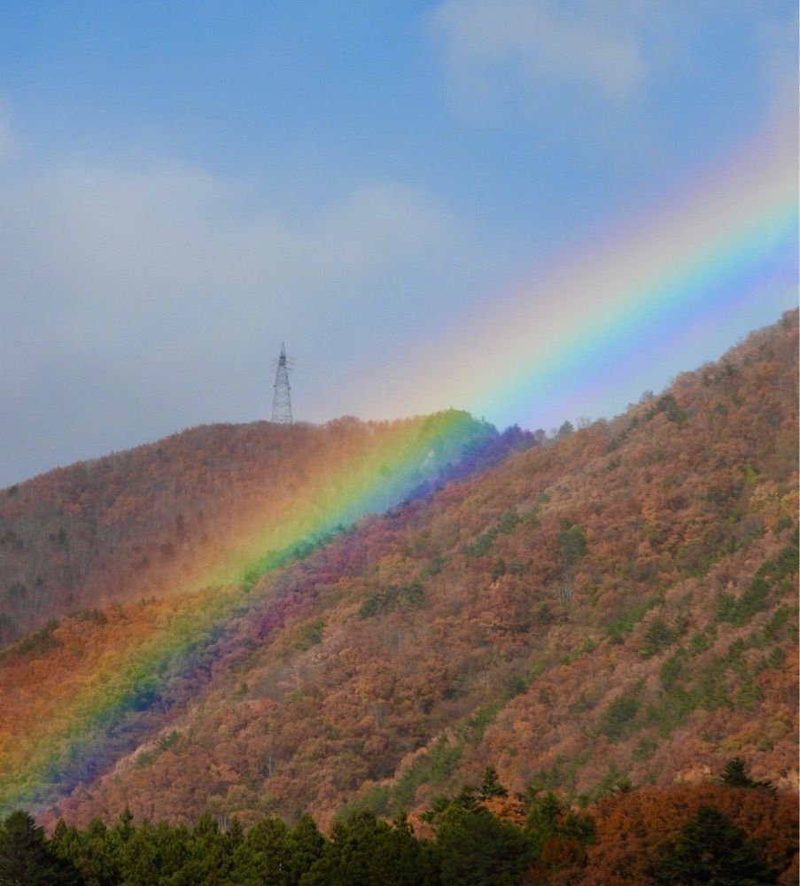 calm_gift_1030さんが投稿した塩原八幡宮に関する口コミの画像