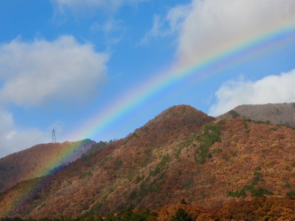 calm_gift_1030さんが投稿した塩原八幡宮に関する口コミの画像