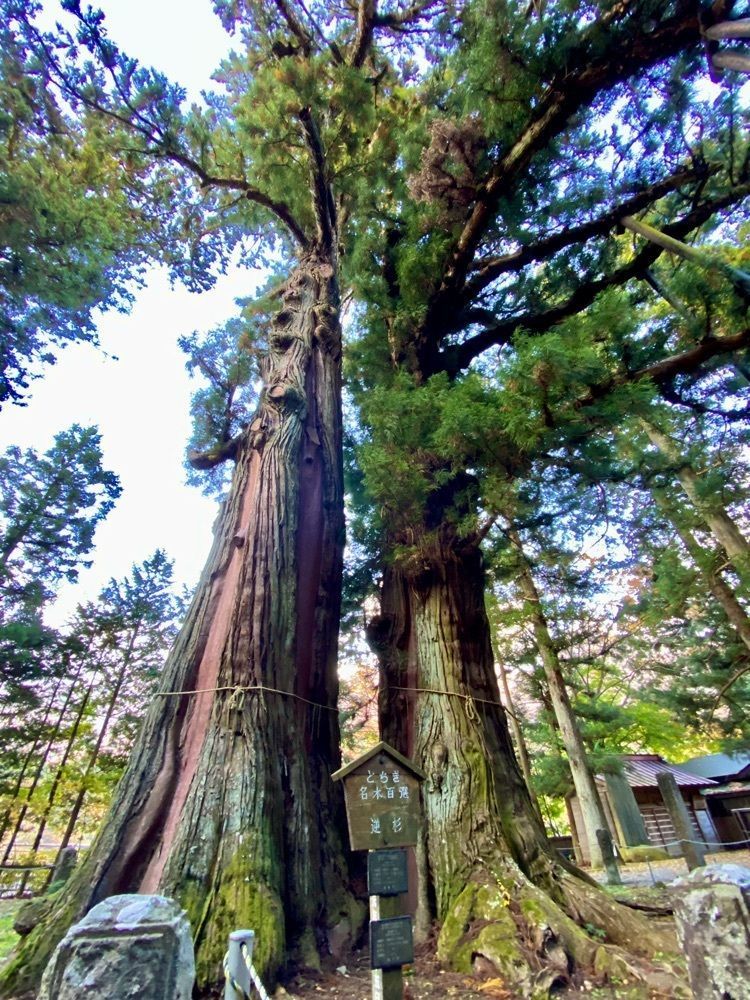 calm_gift_1030さんが投稿した塩原八幡宮に関する口コミの画像