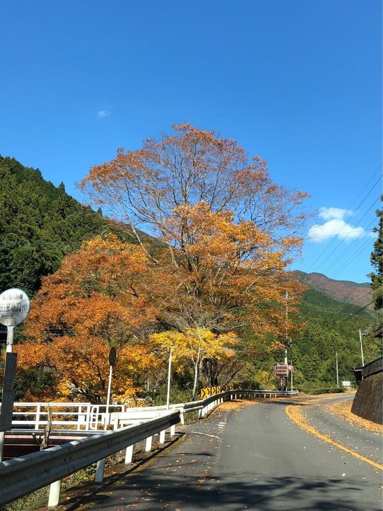 からっ風②さんが投稿した桐生和紙に関する口コミの画像