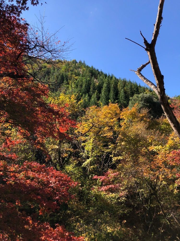からっ風②さんが投稿した桐生和紙に関する口コミの画像