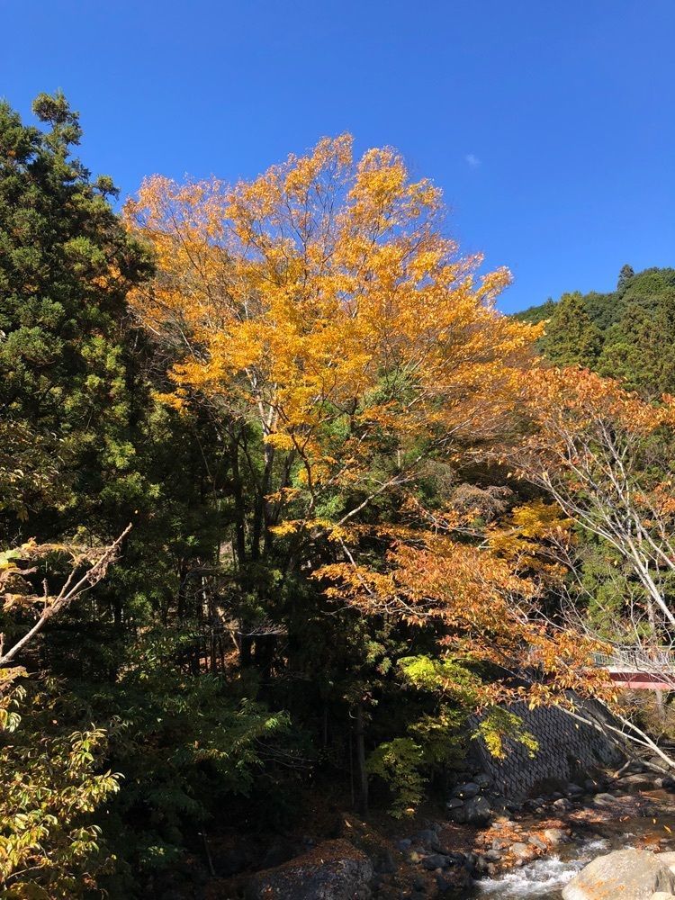 からっ風②さんが投稿した桐生和紙に関する口コミの画像