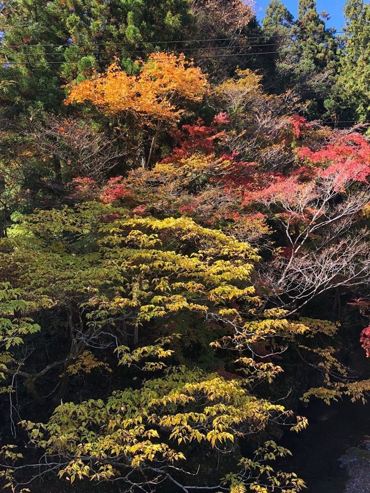 からっ風②さんが投稿した桐生和紙に関する口コミの画像