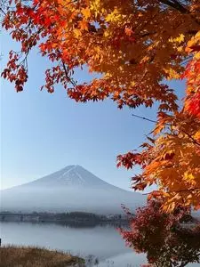河口湖円形ホール