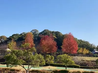 みやま公園