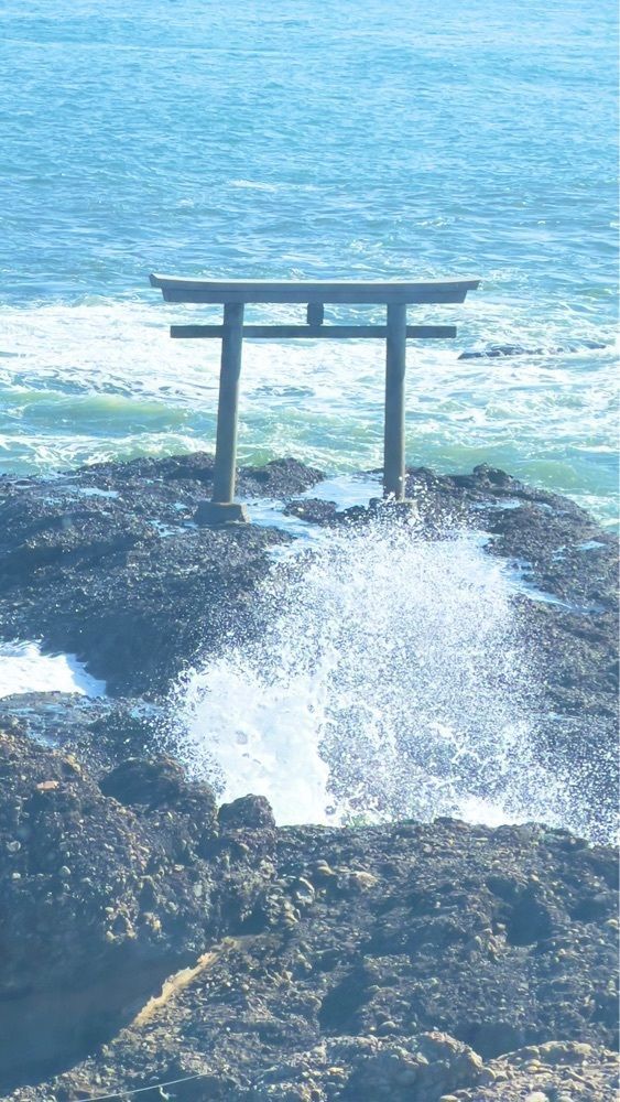 miiさんが投稿したいそやに関する口コミの画像
