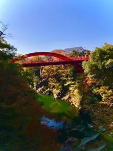 高津戸峡