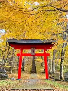 南蔵王の紅葉