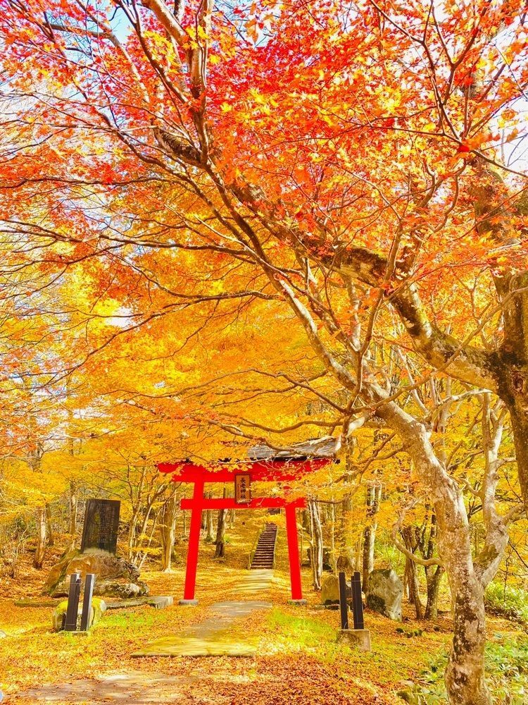 Musashiさんが投稿した南蔵王の紅葉に関する口コミの画像