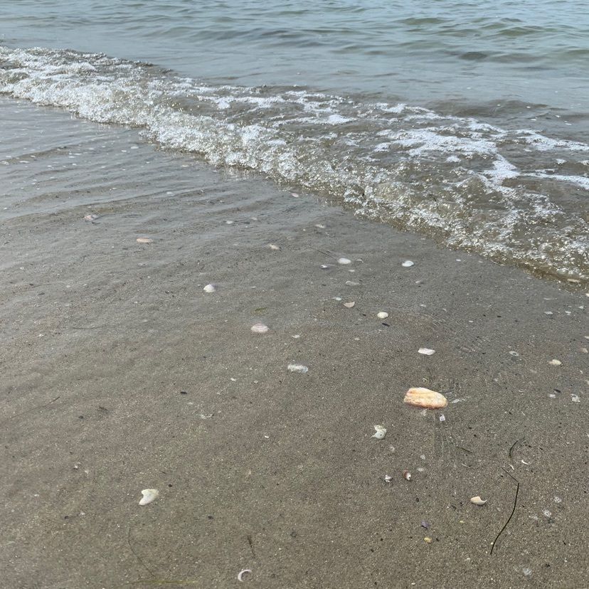 ももくりさんが投稿した坂井海水浴場に関する口コミの画像