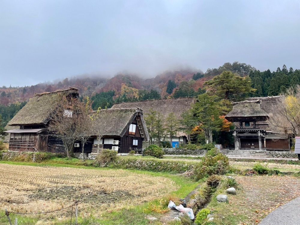 Rabiさんが投稿した明善寺郷土館に関する口コミの画像