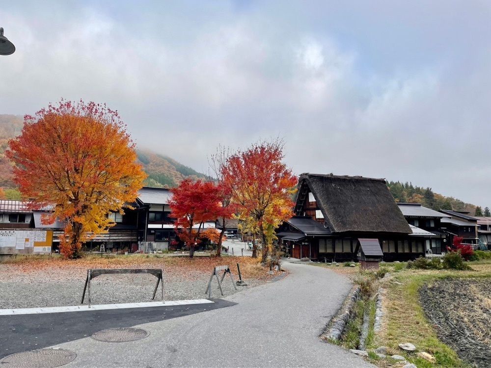 Rabiさんが投稿した明善寺郷土館に関する口コミの画像
