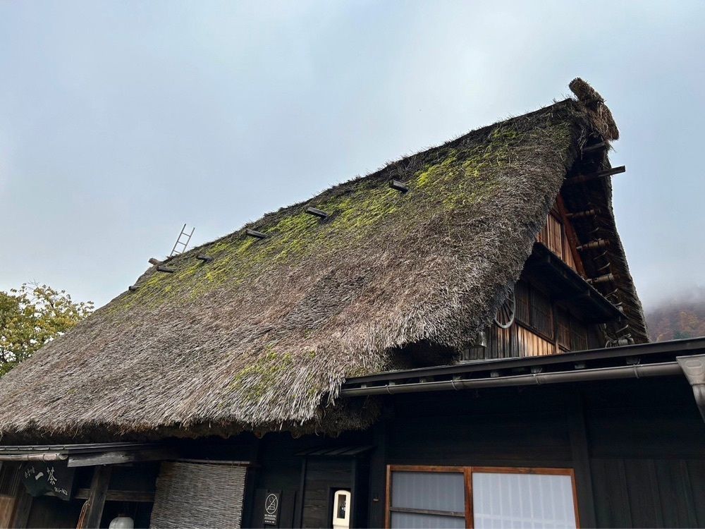Rabiさんが投稿した明善寺郷土館に関する口コミの画像