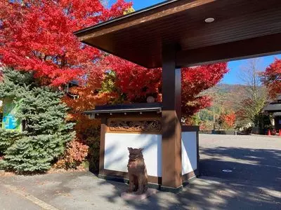 アンティークカフェ あうん亭 きみまろ茶や