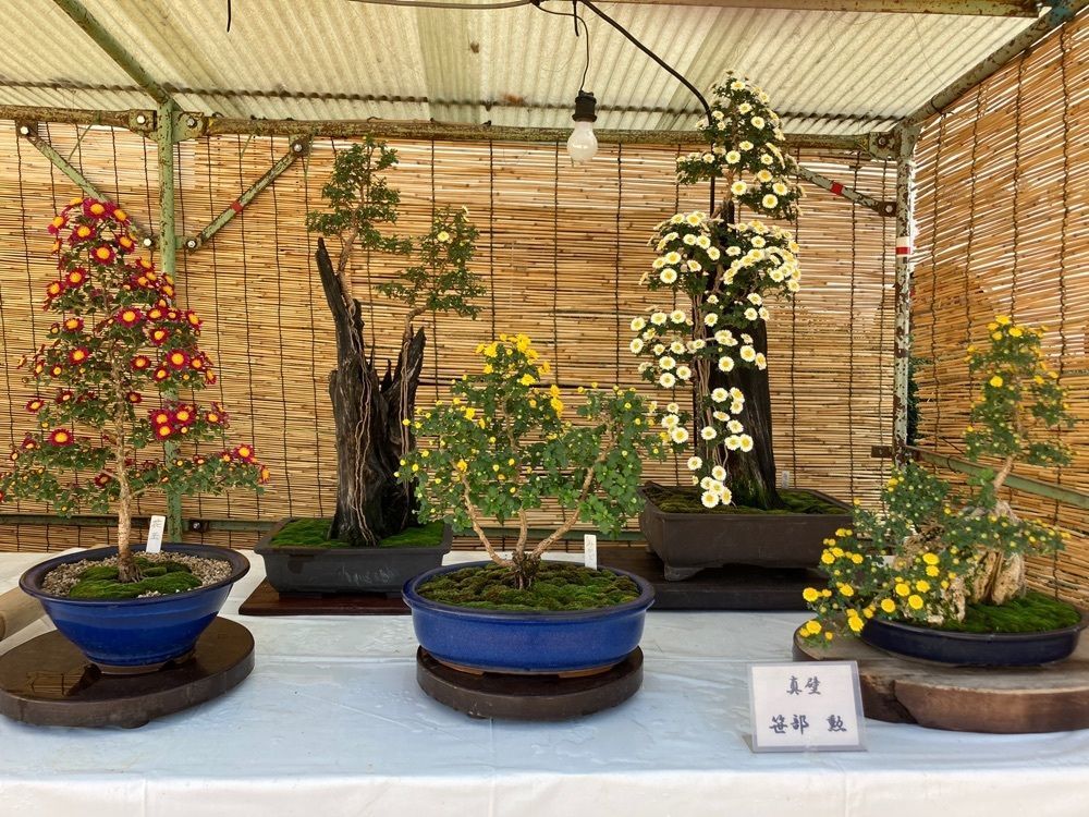 うーとらマンさんが投稿した総社市役所に関する口コミの画像