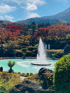 箱根強羅公園 8枚目