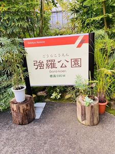 箱根強羅公園 7枚目