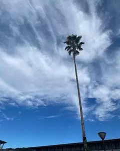 ヤ・シィパーク 2枚目