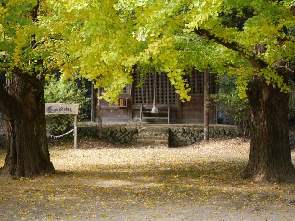 フラミンゴさんが投稿した最上山公園に関する口コミの画像