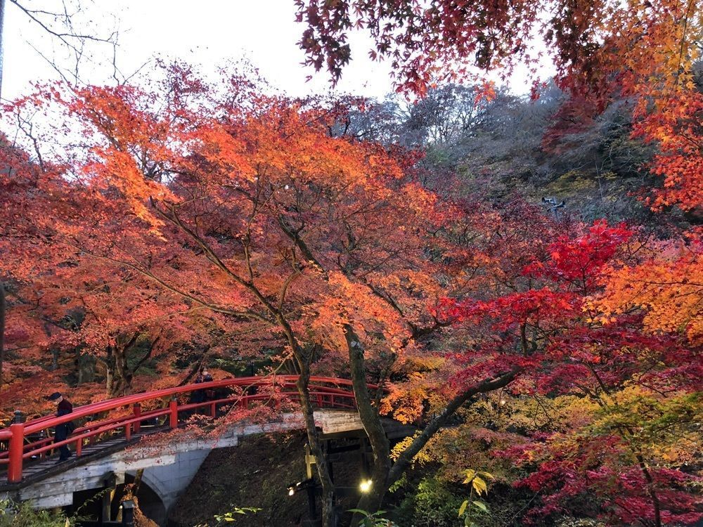 それなはとけさんが投稿した伊香保温泉 お宿玉樹に関する口コミの画像