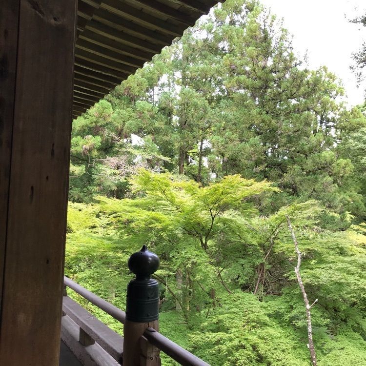 NBR OTさんが投稿した石山寺観光案内所に関する口コミの画像