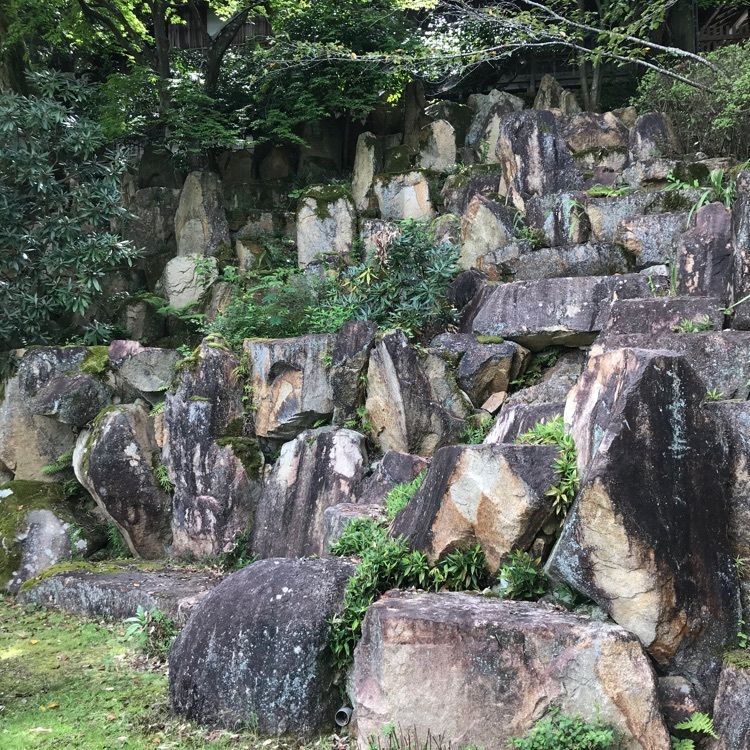 NBR OTさんが投稿した石山寺観光案内所に関する口コミの画像