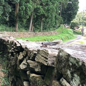 大松 滝山荘(だいまつ たきやまそう) 3枚目